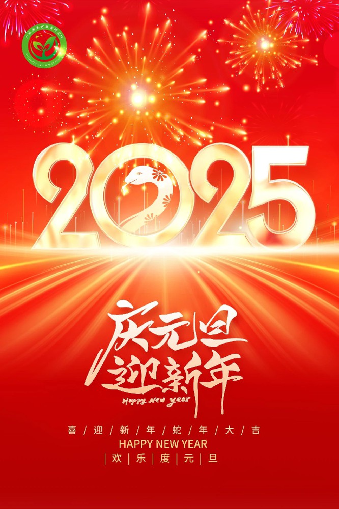 展望2025 | 广东省文化艺术行业协会黄泾炜会长2025年新年寄语